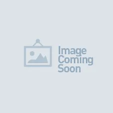 Vietjet tăng lợi nhuận nhờ khai thác nhiều đường bay quốc tế